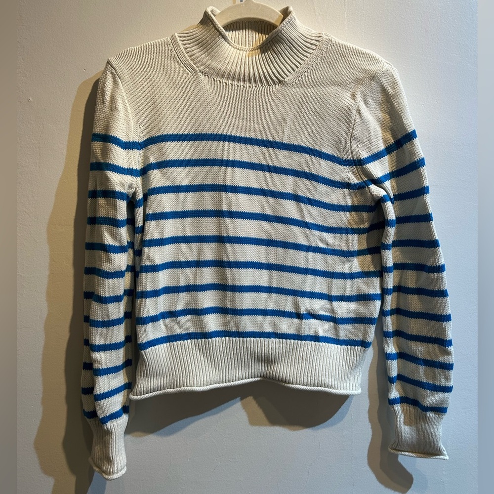 Jcrew rollneck sweater in blue and white stripe